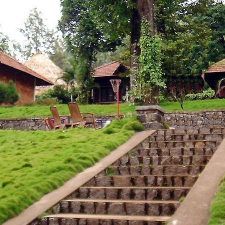Hotel Misty Woods Dharamshala Exterior photo