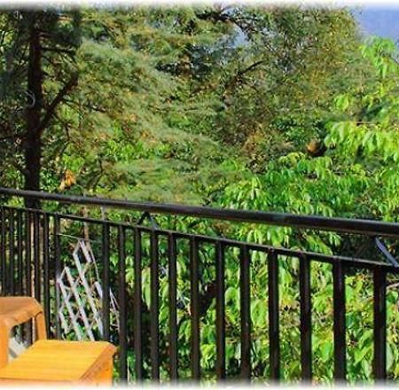 Hotel Misty Woods Dharamshala Exterior photo
